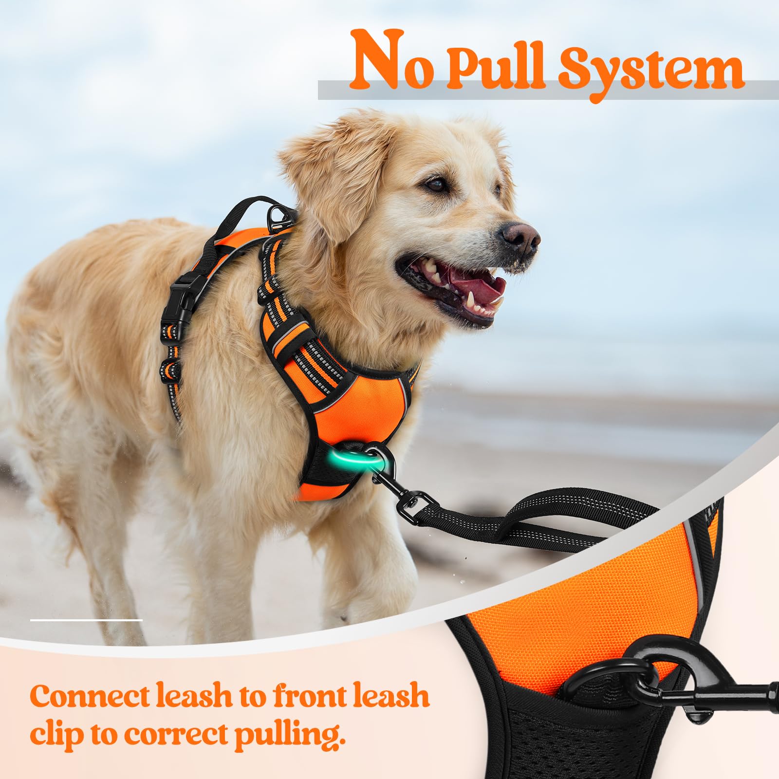 Rabbitgoo arnés con mango de control para manejo adicional durante caminatas.