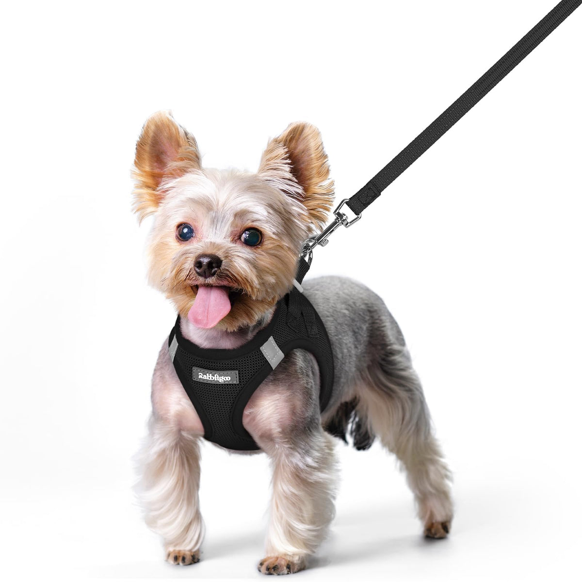 Arnés Rabbitgoo para perro XS, paso fácil para paseos cómodos