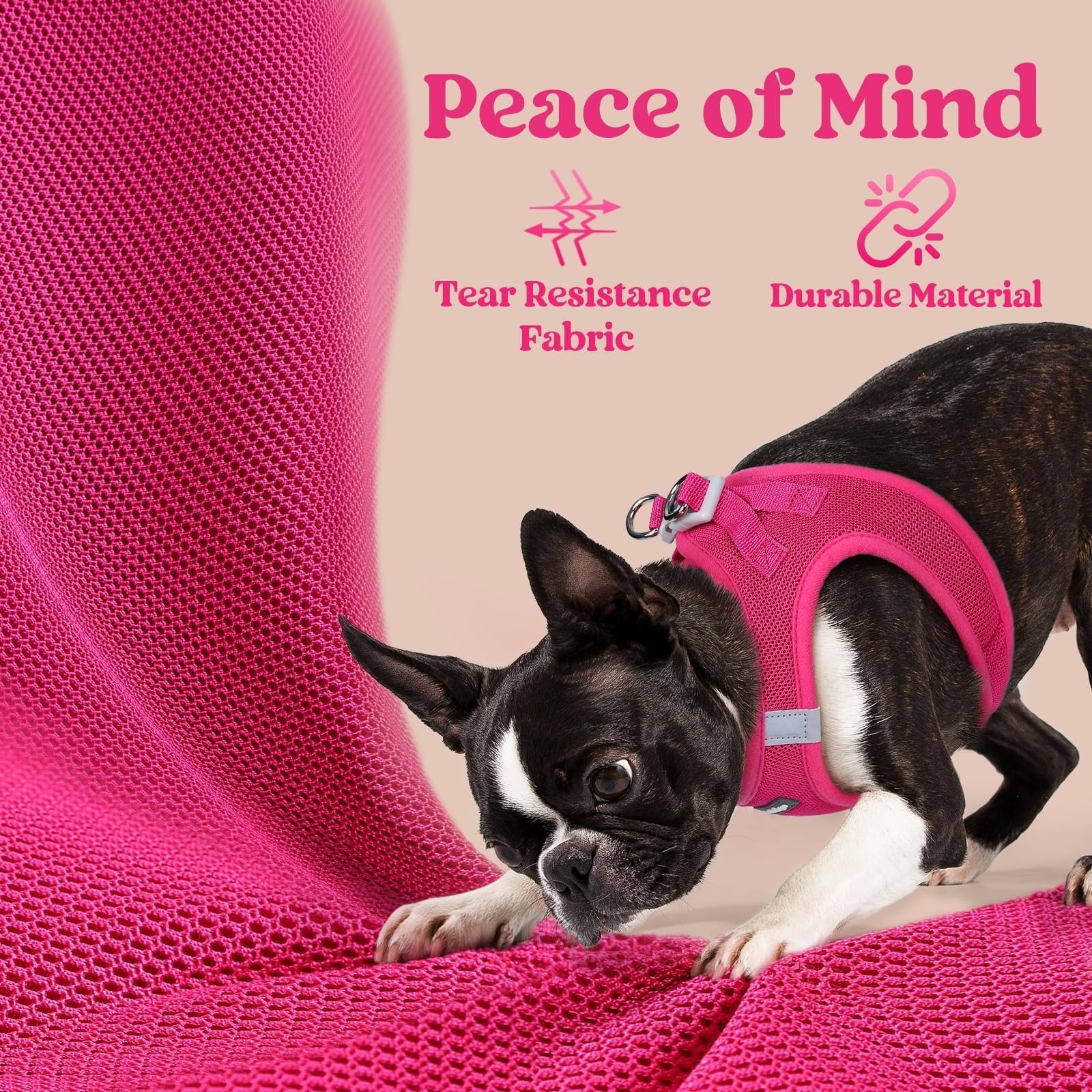 Talla XS de Rabbitgoo para cuello y pecho de perros pequeños.