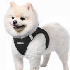Arnés Rabbitgoo para perro pequeño con malla suave, cómodo para paseos diarios.