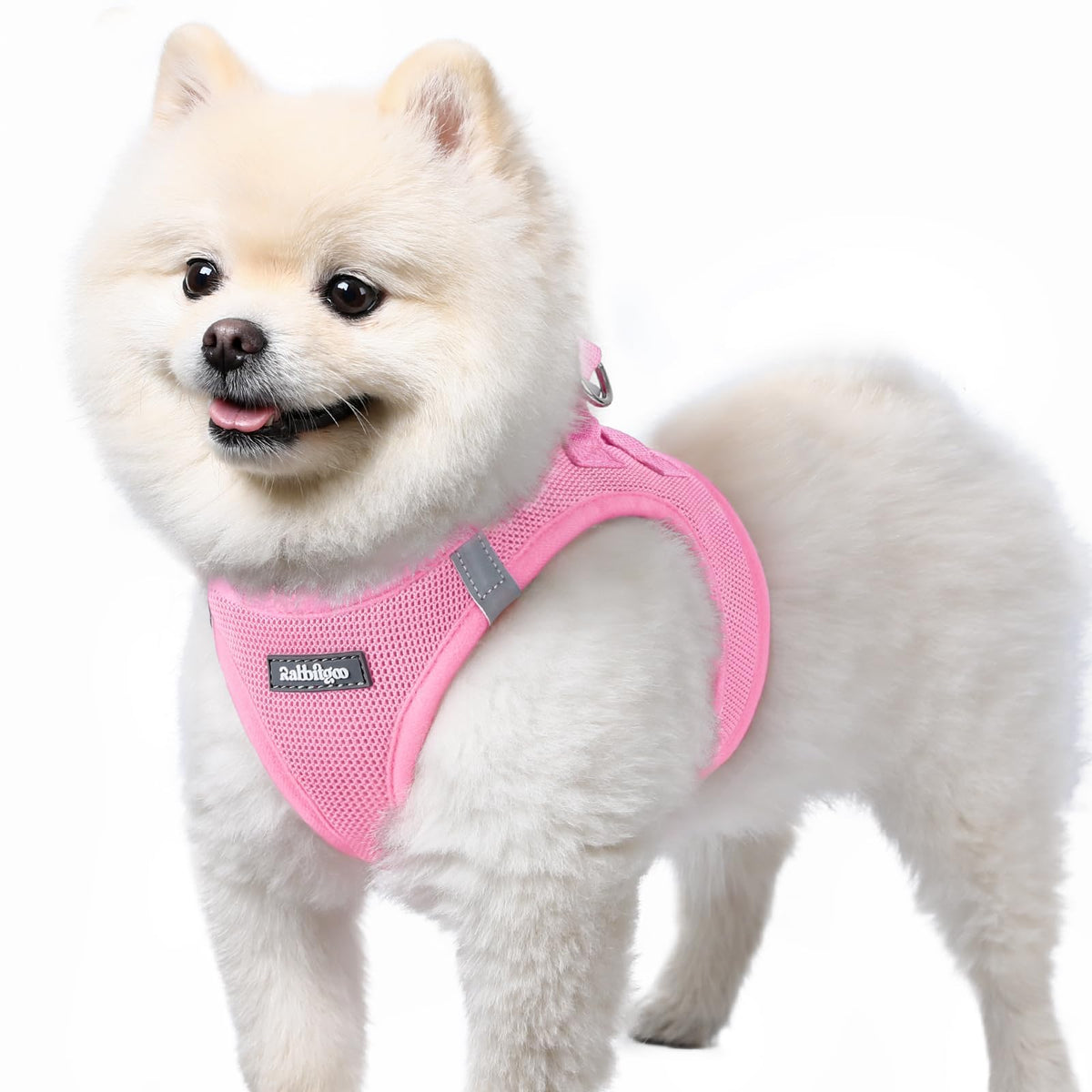 Arnés Rabbitgoo para perro pequeño con malla suave, cómodo para salidas prolongadas.
