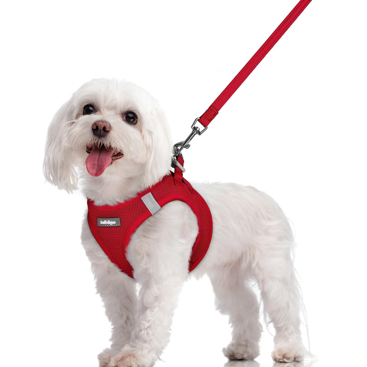 Arnés Rabbitgoo para perro pequeño, paso frontal rojo, fácil de poner.