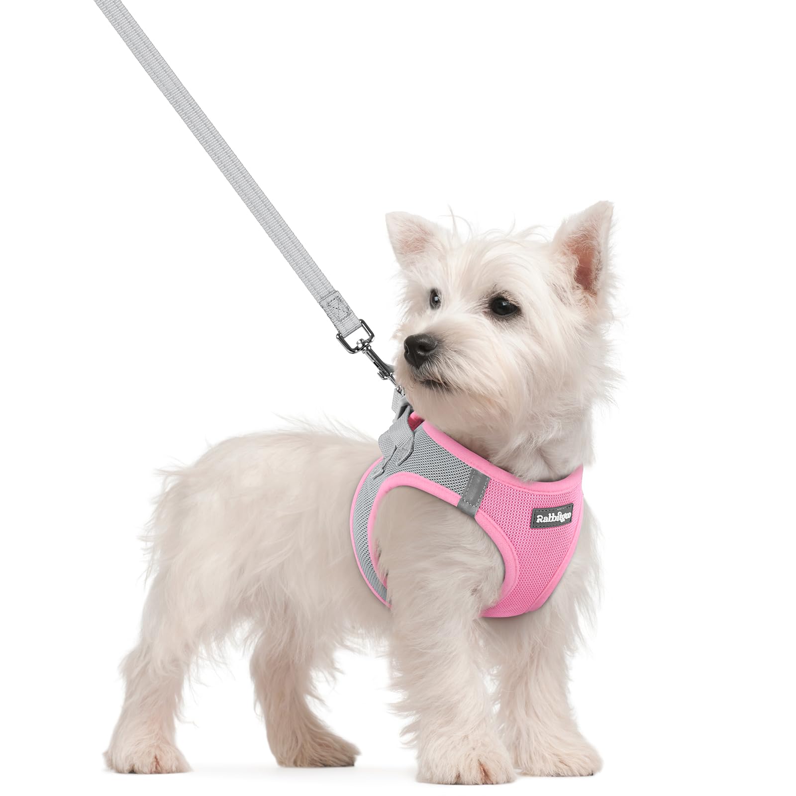 Arnés Rabbitgoo para perros pequeños con diseño paso por patas y malla transpirable