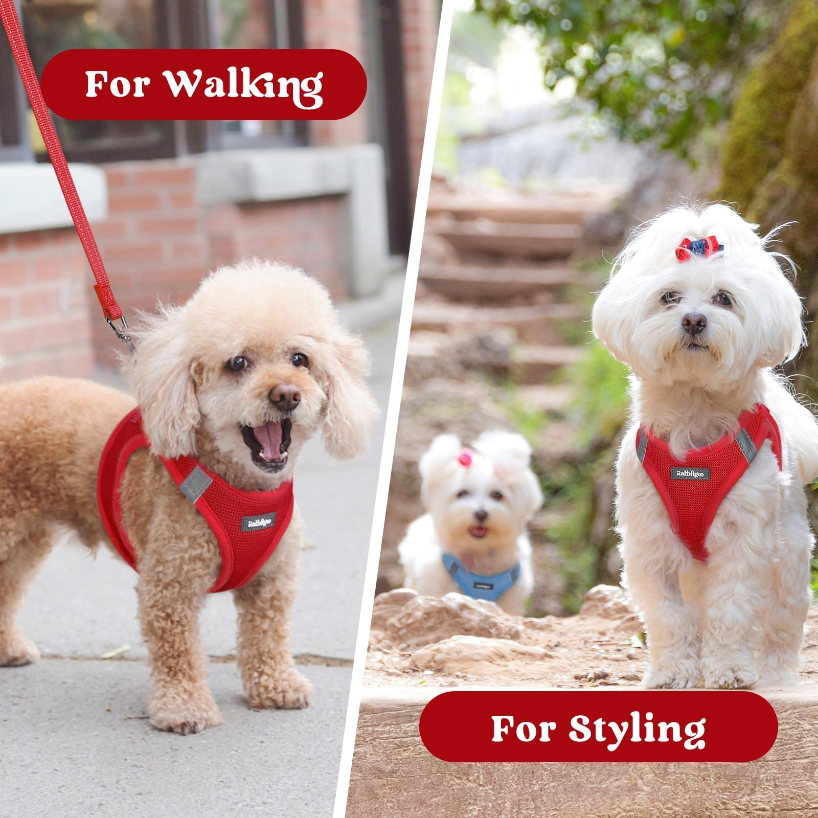 Arnés rabbitgoo rojo para perros pequeños, estilo y comodidad.
