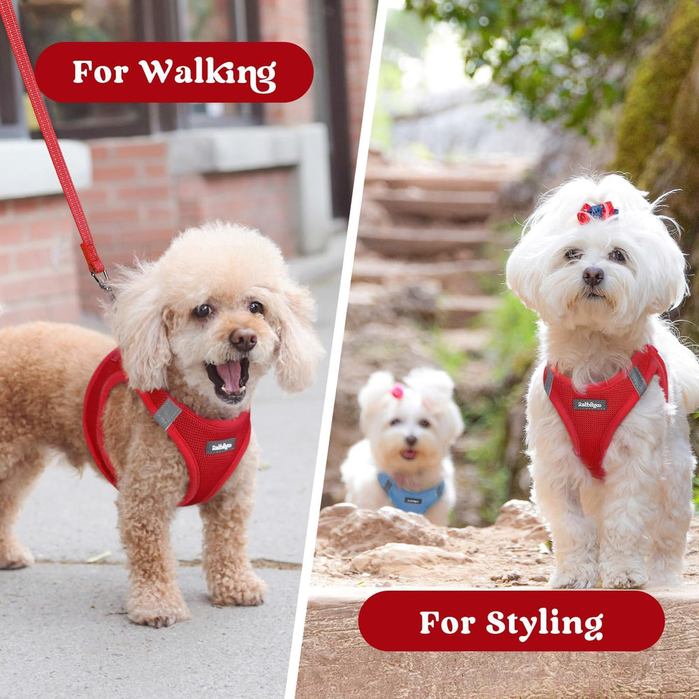 Arnés rabbitgoo rojo para perros pequeños, estilo y comodidad.