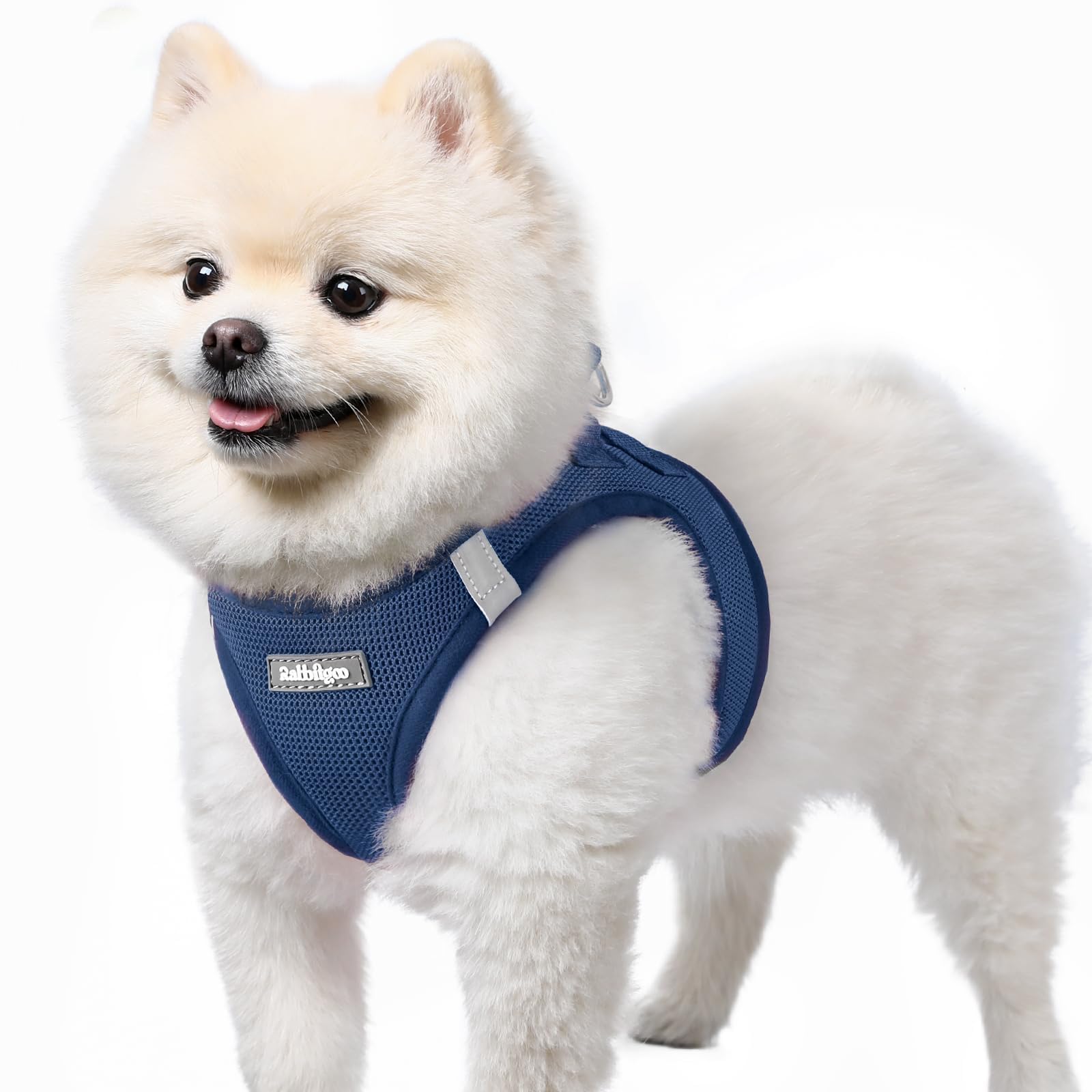 Arnés rabbitgoo para perro pequeño talla S con malla suave y transpirable.