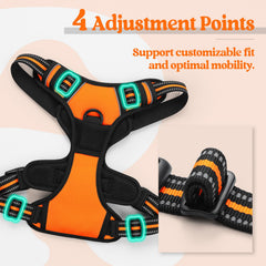 Arnés Rabbitgoo reflectivo para mayor visibilidad nocturna.