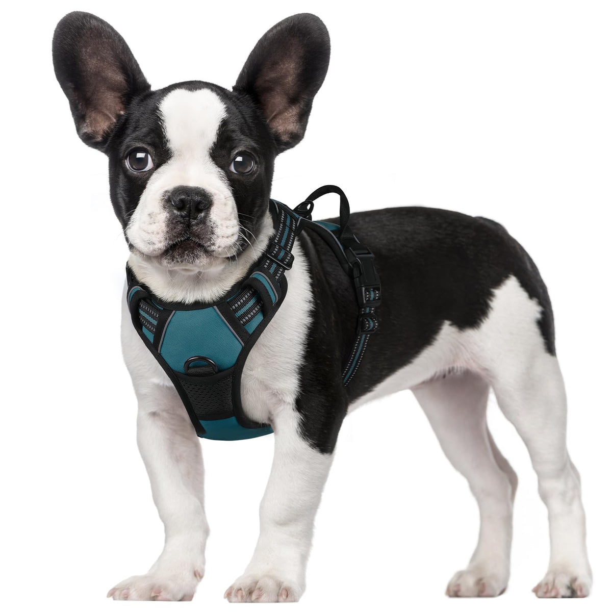 Arnés rabbitgoo para perros sin tirones con dos enganches para paseos seguros