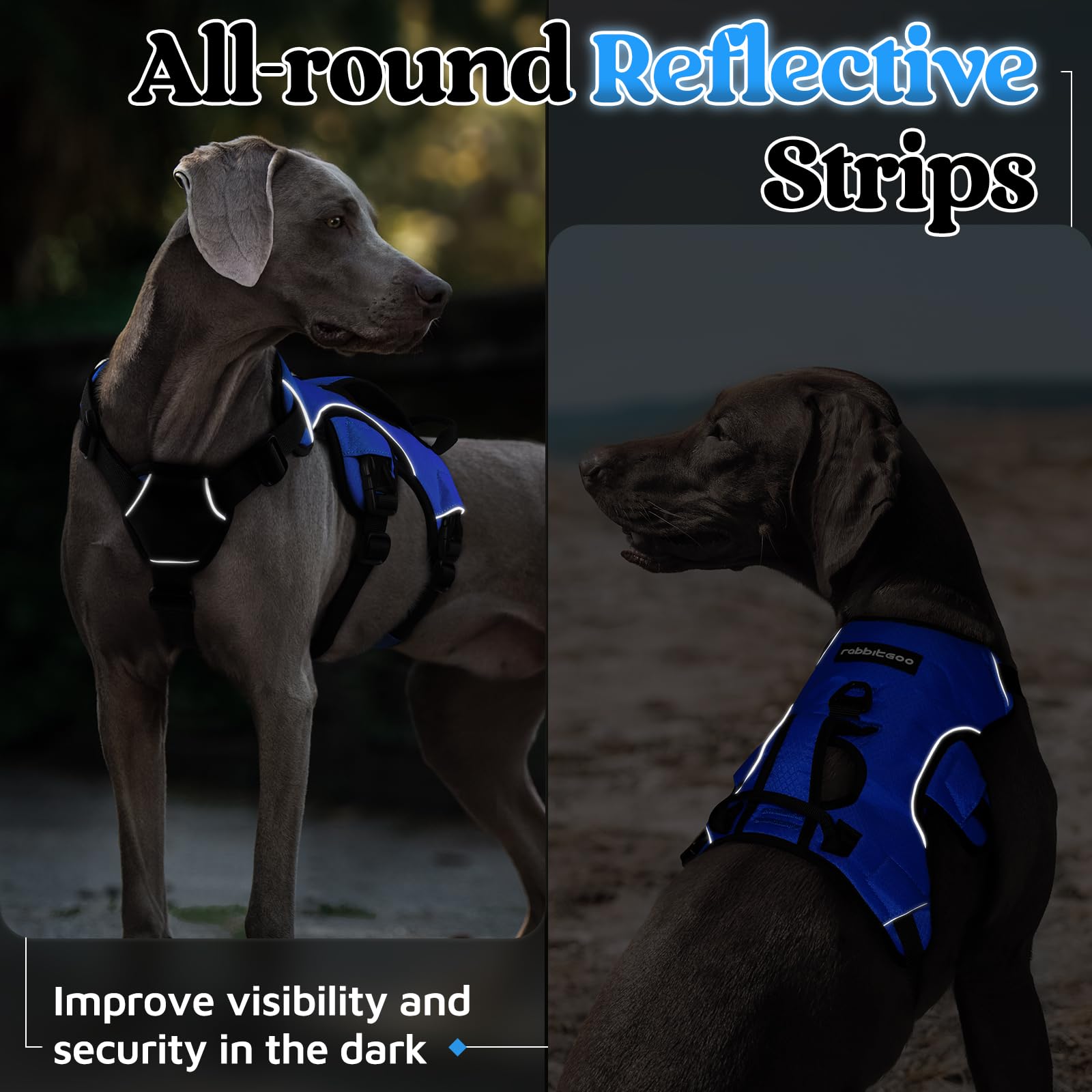 Arnés rabbitgoo talla M azul para perros medianos a grandes