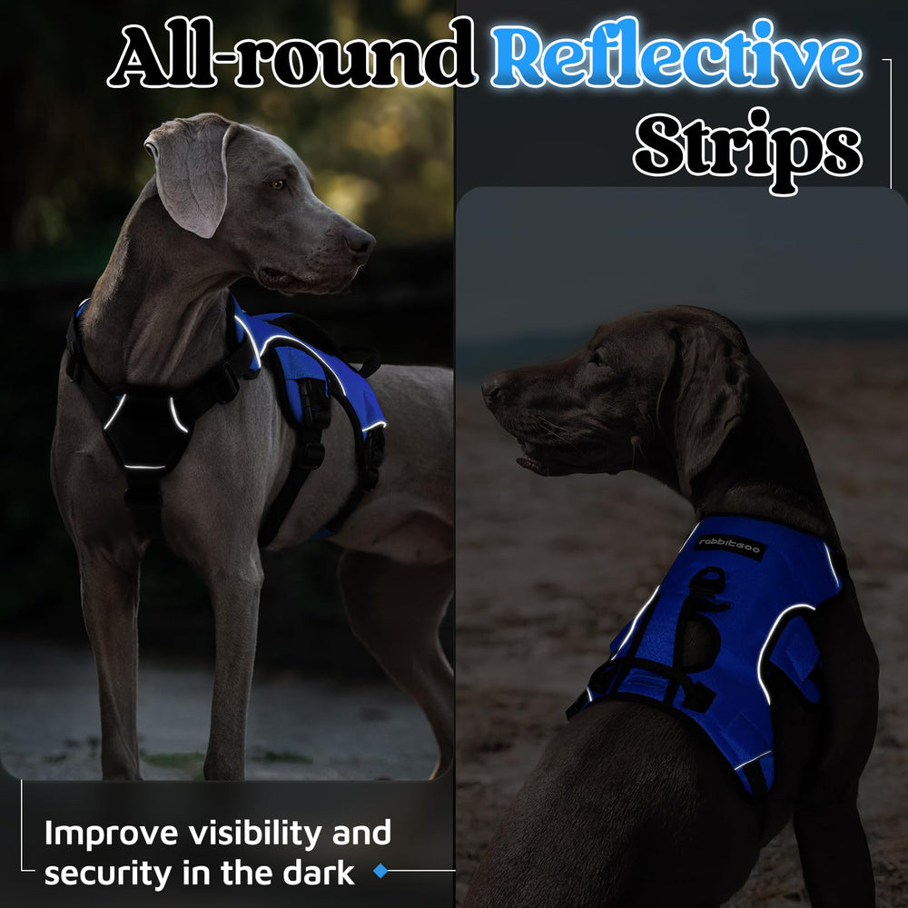 Arnés rabbitgoo talla M azul para perros medianos a grandes