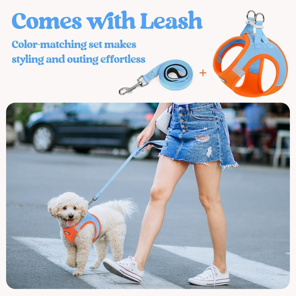 Rabbitgoo arnés con dos anillos en la espalda para sujeción adicional.