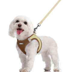 Arnés Rabbitgoo talla M para perros con paso fácil para ponérselo.