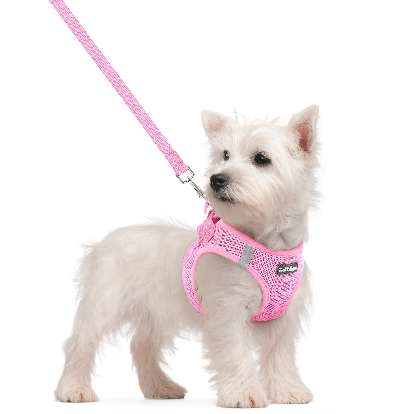 Rabbitgoo arnés perrito talla S, entrada fácil para colocar patas y ajuste cómodo.