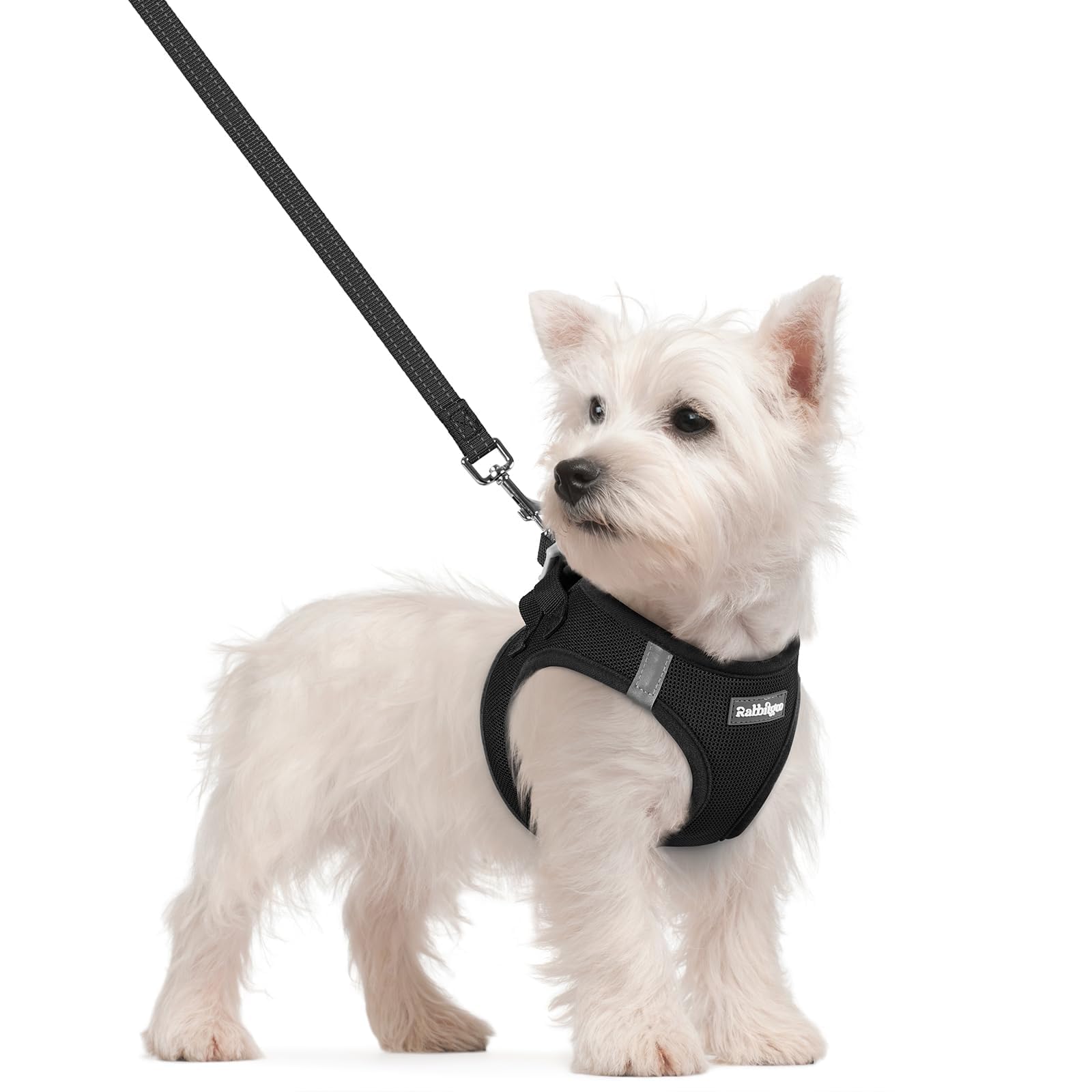 Arnés Rabbitgoo talla S con paso en malla transpirable para perros pequeños.