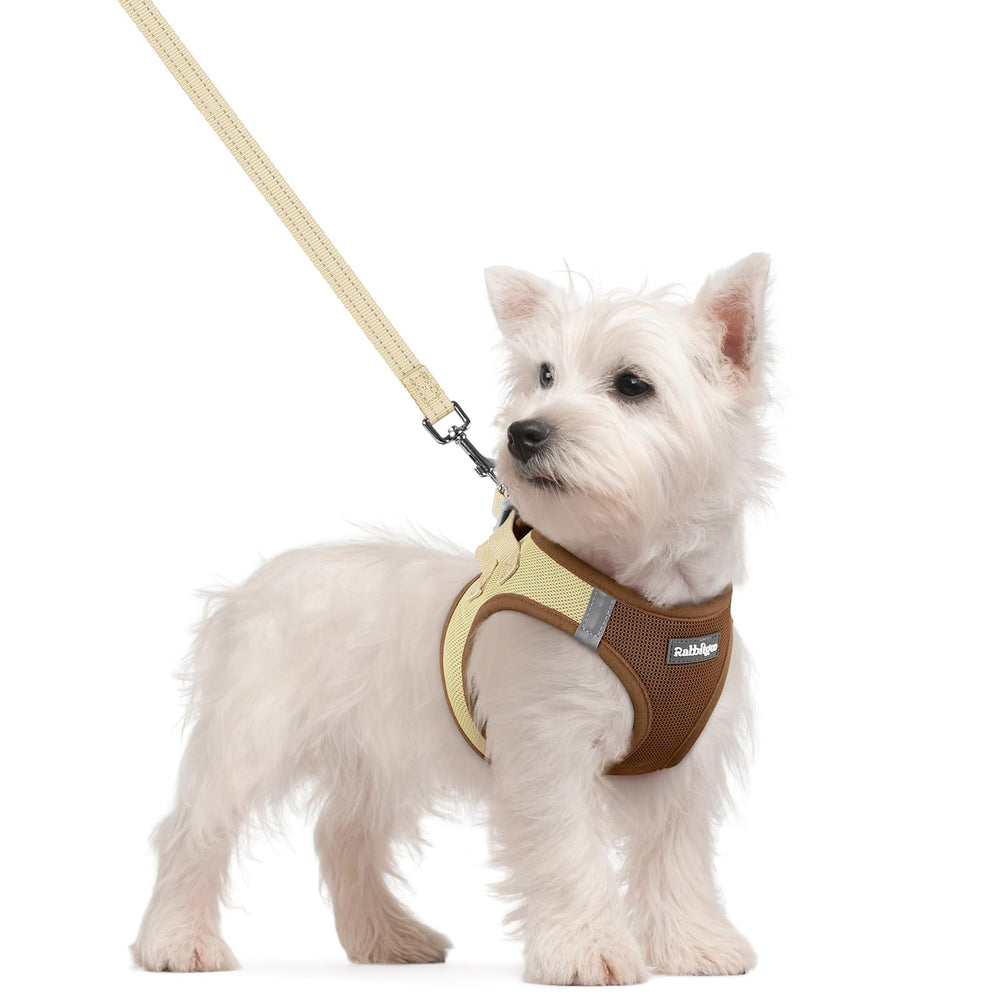 Arnés RabbitGo para perro pequeño, fácil de colocar con paso a entrar