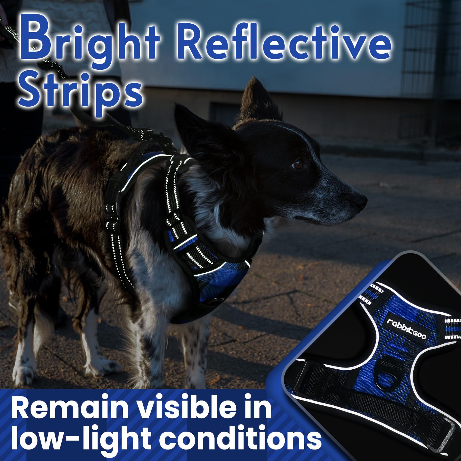 rabbitgoo arnés perro talla mediana con correas ajustables.