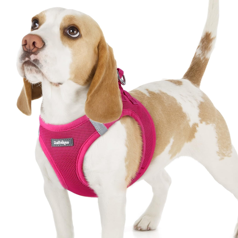 rabbitgoo arnés para perro pequeño, vista frontal, comodidad para paseos diarios.