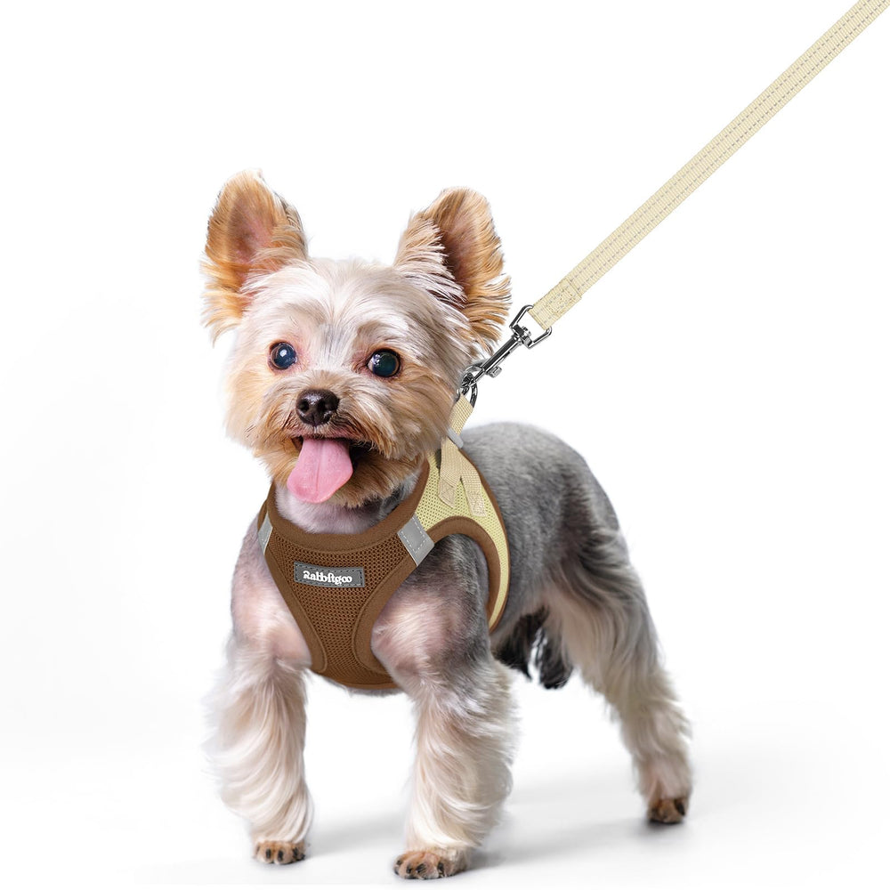 Arnés Rabbitgoo para perro XS con ajuste ergonómico para paseos cómodos.