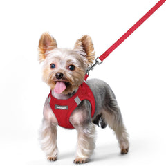 Arnés Rabbitgoo para perro XS, con malla ventilada para paseos cómodos.