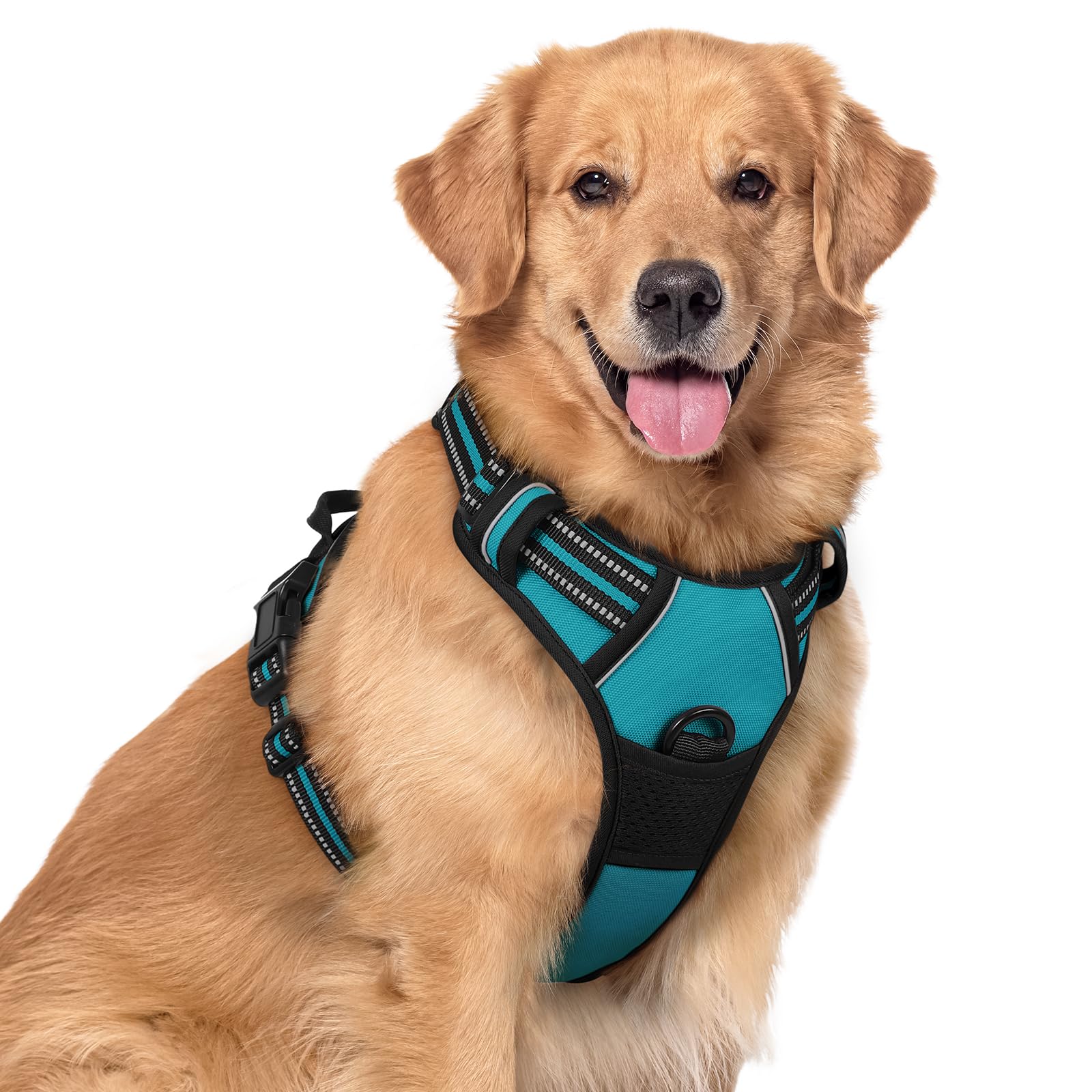 Arnés rabbitgoo teal con confort para perros grandes en paseos diarios.