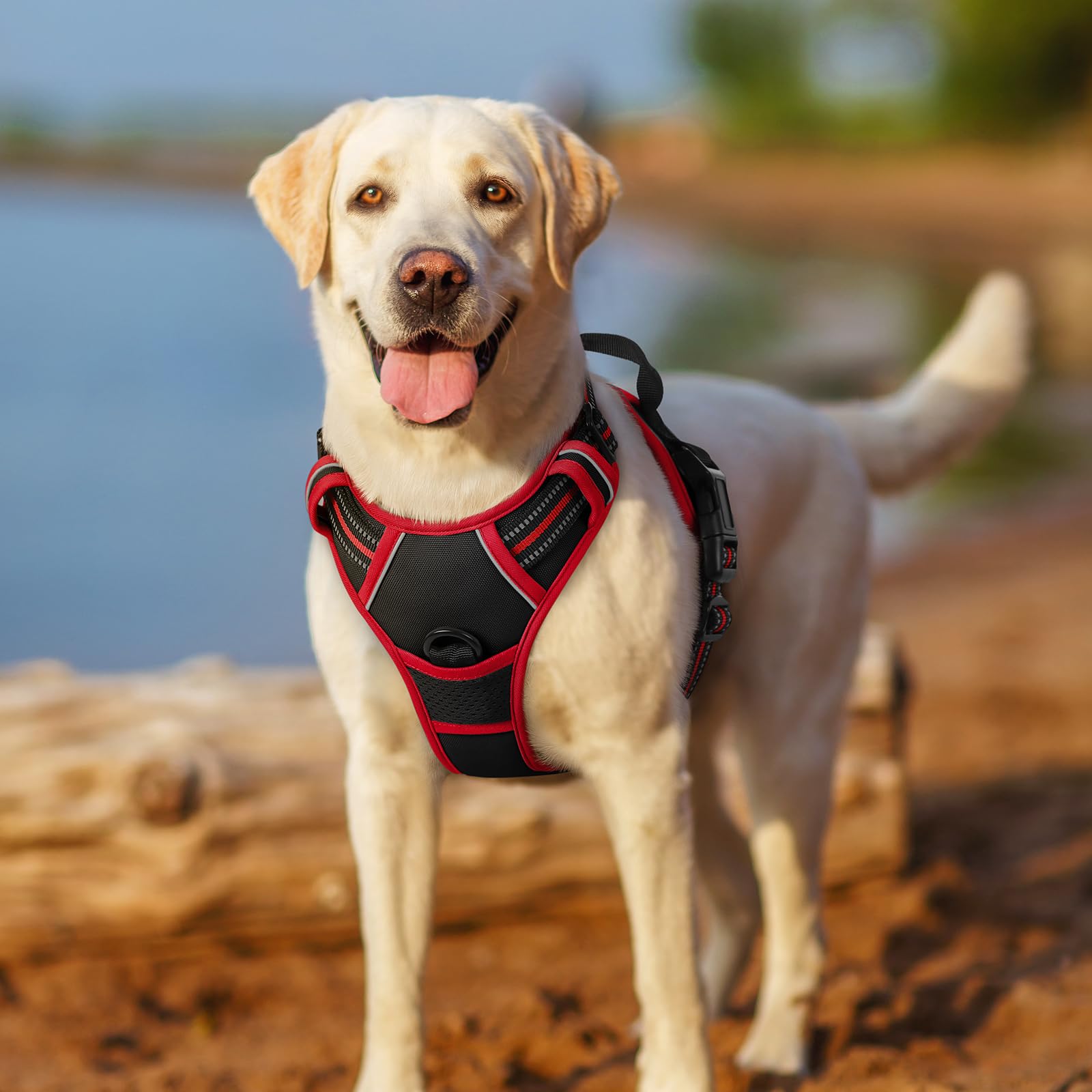 Arnés Rabbitgoo para perros de talla mediana con uso diario.