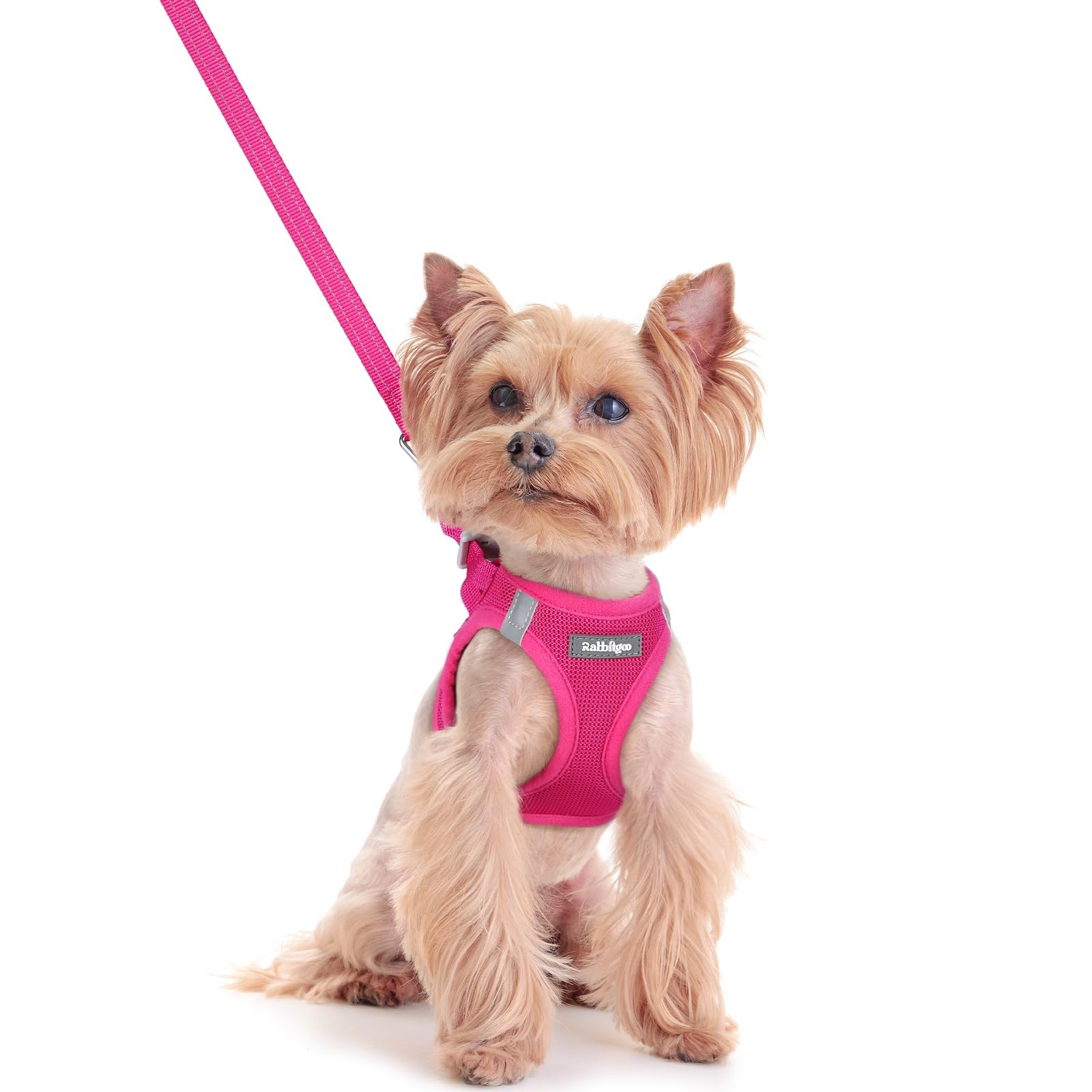 Arnés rabbitgoo XXS rosa para perros pequeños, cómodo y fácil de poner.