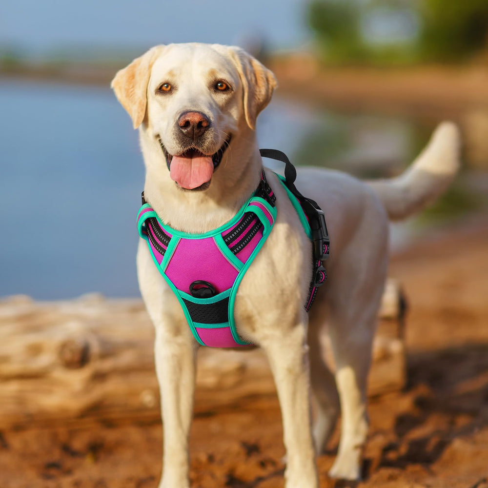 Rabbitgoo arnés para perros grandes XL en rosa y turquesa