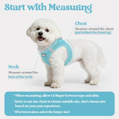 rabbitgoo arnés S mint azul dorsal: ajuste estable para perros pequeños