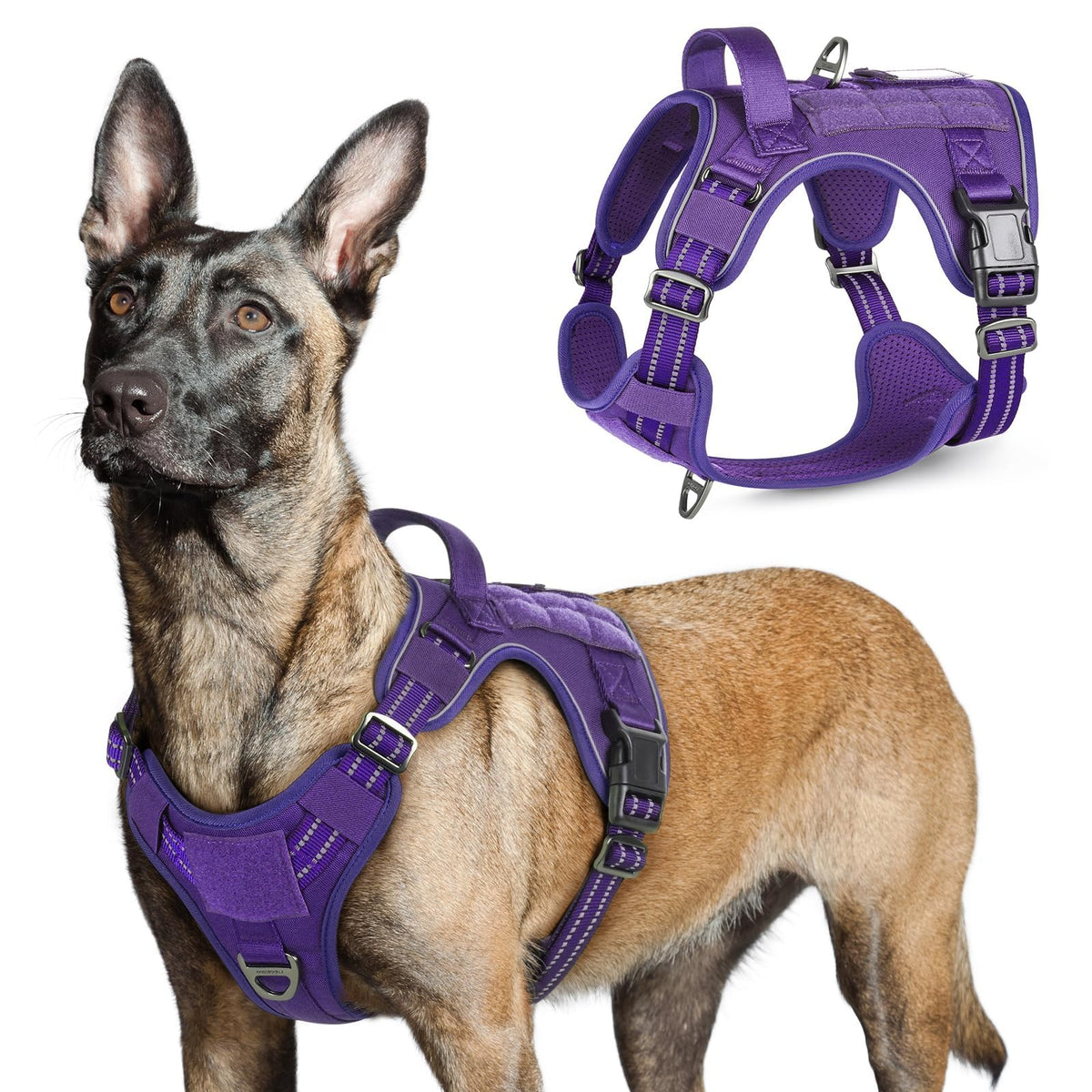 Arnés táctico Rabbitgoo con ajuste de 4 puntos para perros grandes y cómodo.