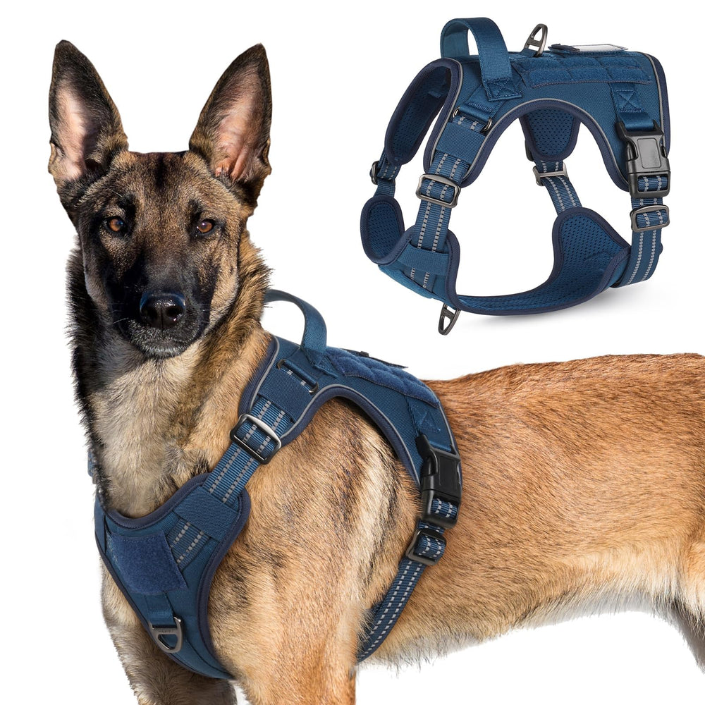 Arnés táctico Rabbitgoo para perro grande visto de dorso, ajuste cómodo y seguridad para paseos.