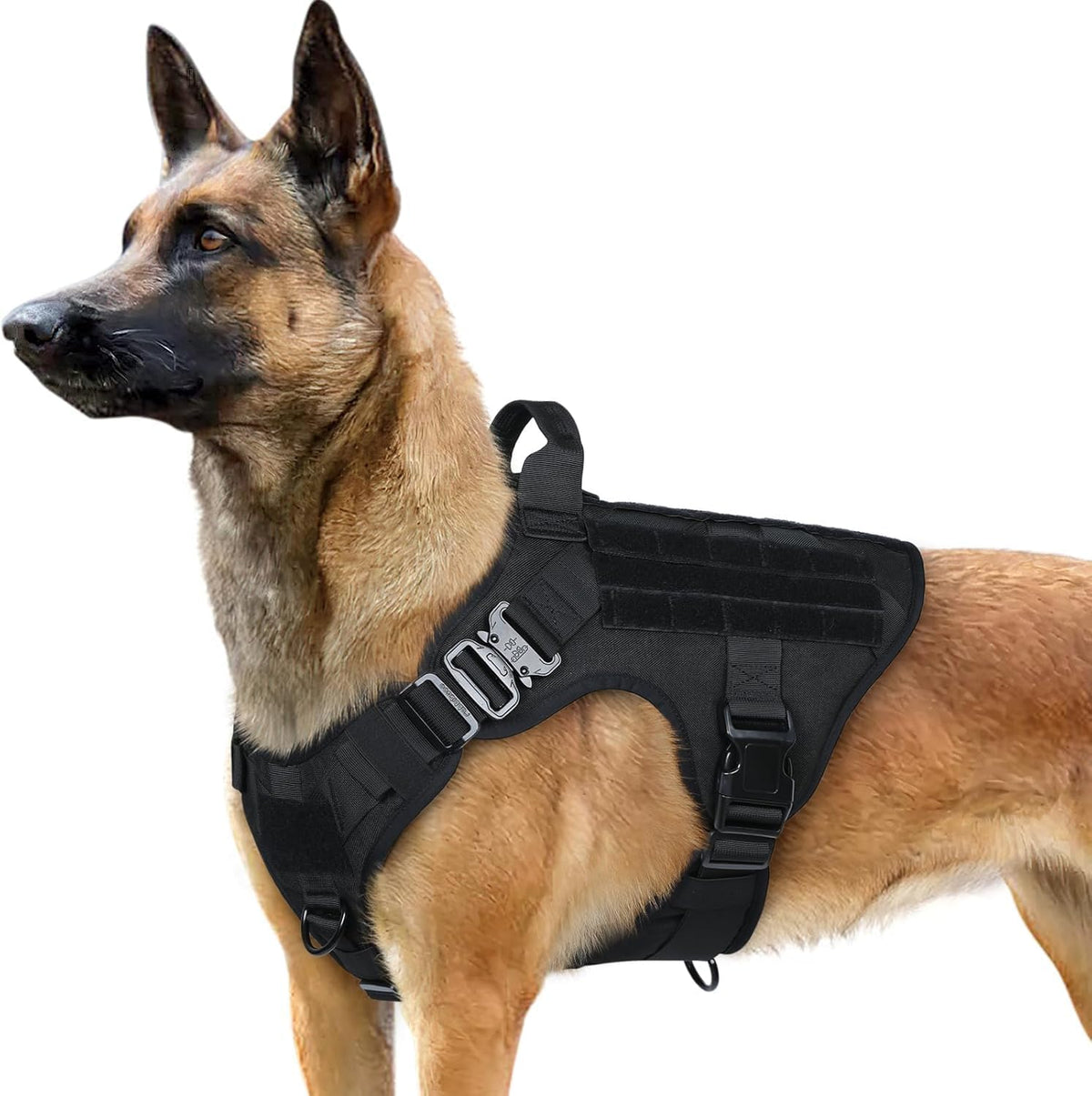 Arnés táctico Rabbitgoo para perro grande con manija, elevación segura durante entrenamiento.