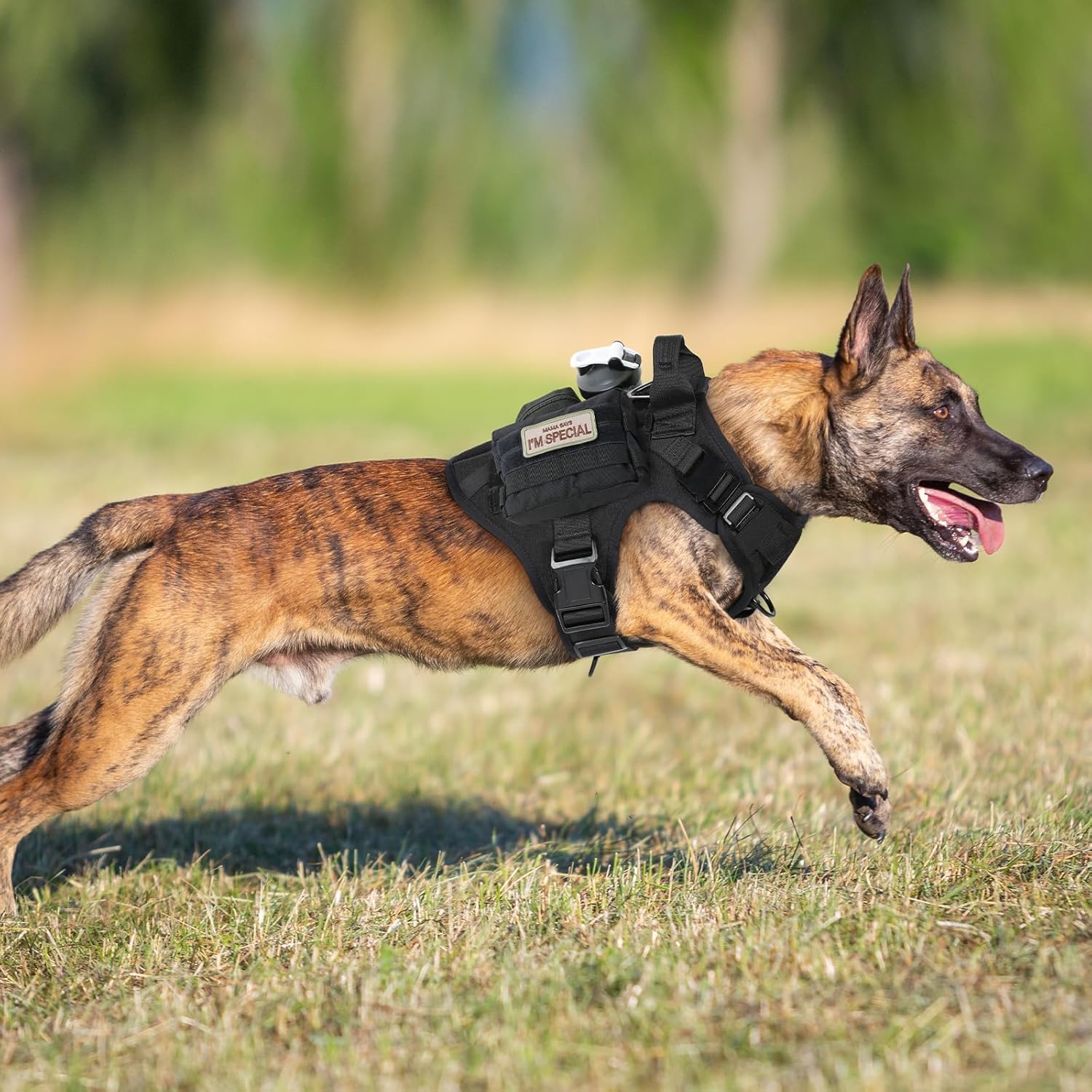 Arnés táctico Rabbitgoo con sistema Molle, expansión de accesorios para campo.