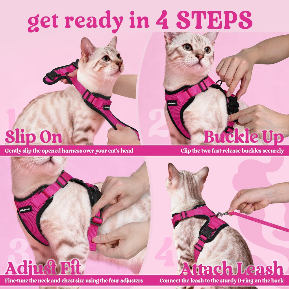 Rabbitgoo ofrece color rosa vibrante para el estilo único del gato.