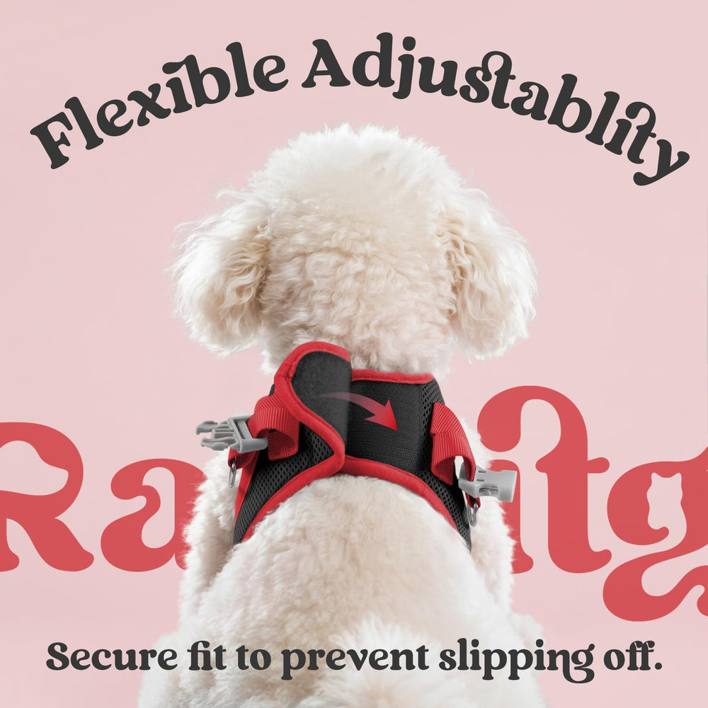Conjunto arnés y correa rabbitgoo de diseño moderno a juego.