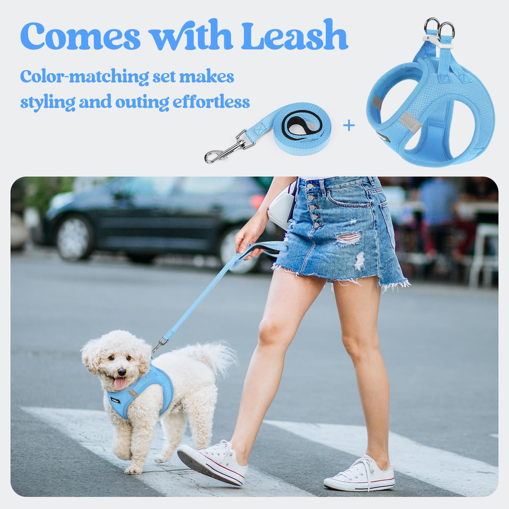 Correa Rabbitgoo de longitud cercana a 1,6 m, ideal para caminatas.