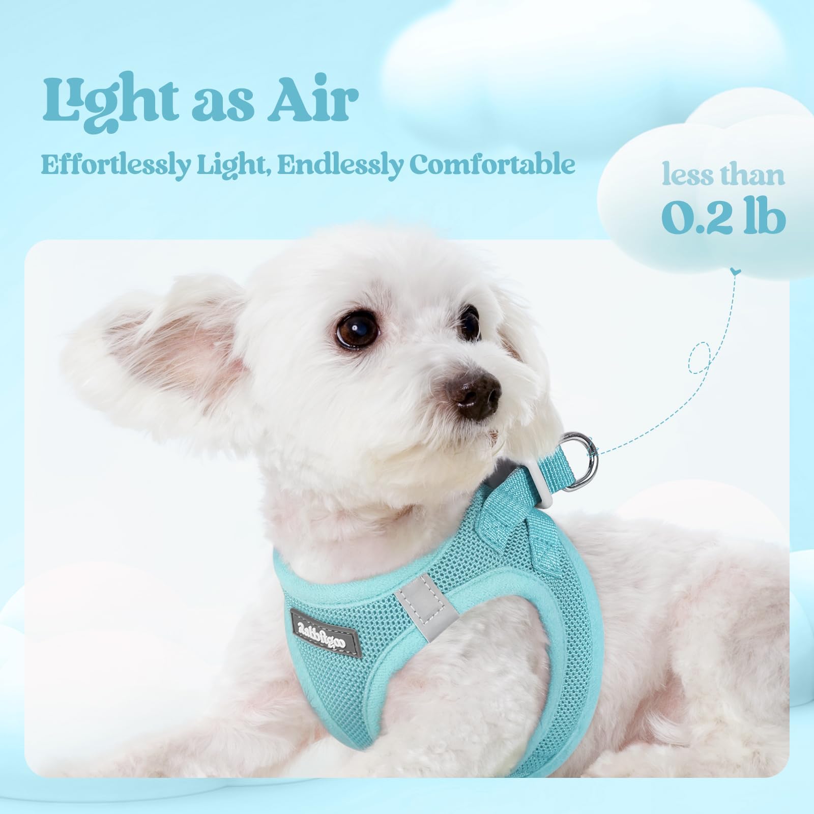 rabbitgoo correa mint azul clip anti-enredos: paseos sin nudos