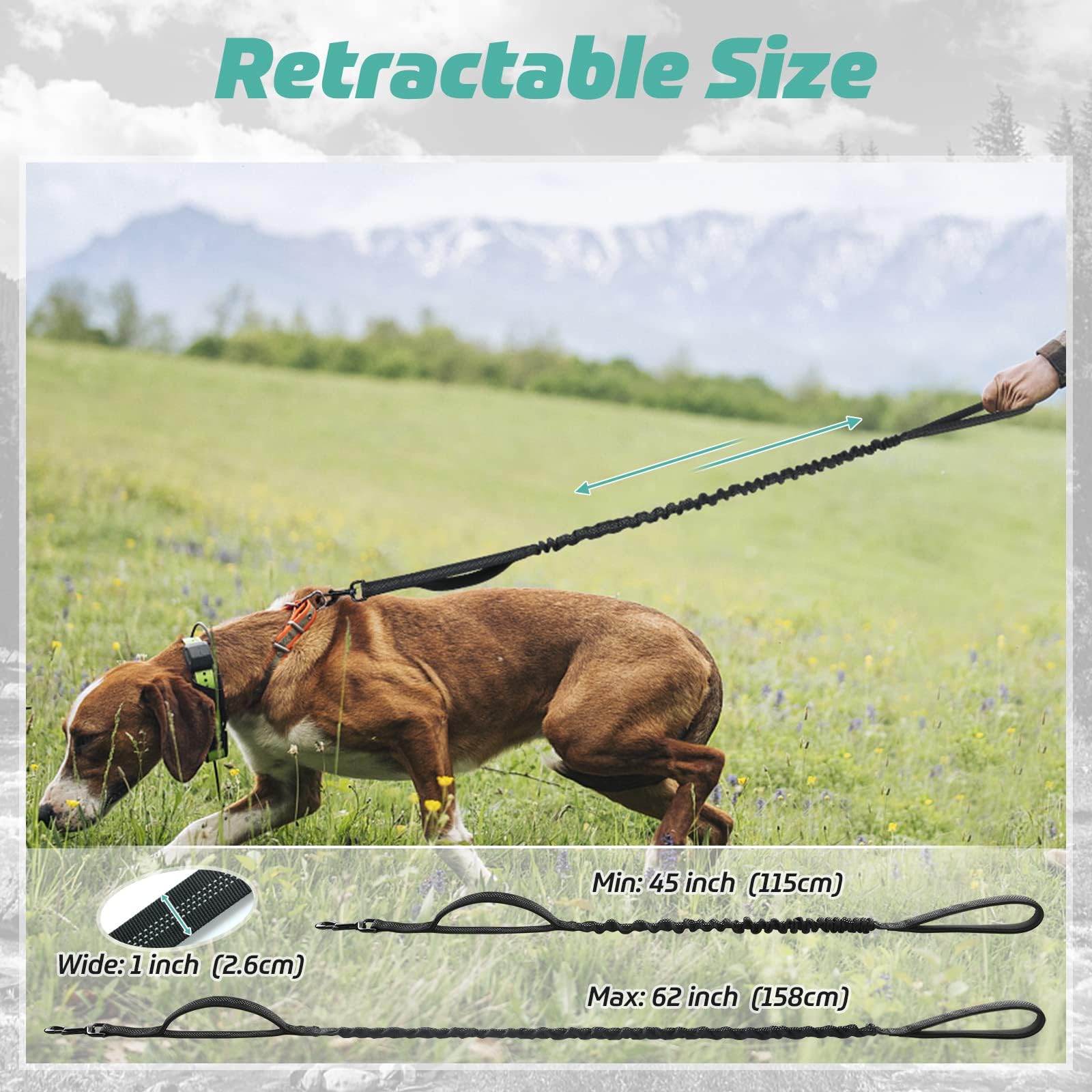Rabbitgoo nylon resistente para uso prolongado en entrenamiento y paseos