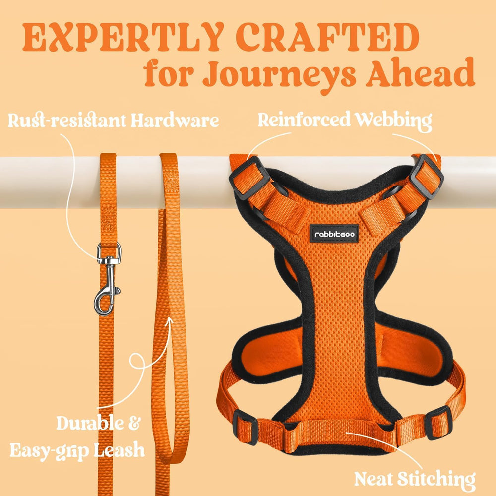 Diseño chaleco ergonómico Rabbitgoo reduce la presión en el cuello