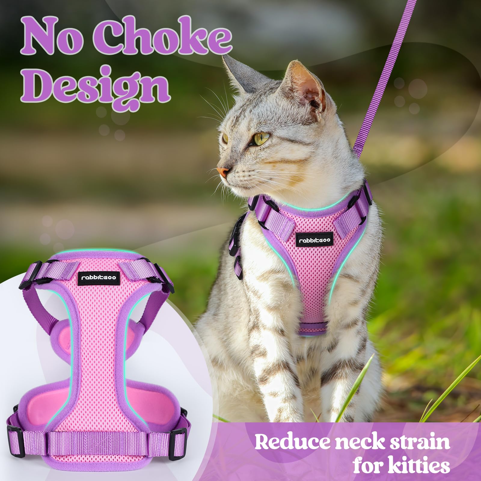 Diseño ligero de malla transpirable de Rabbitgoo para gato.