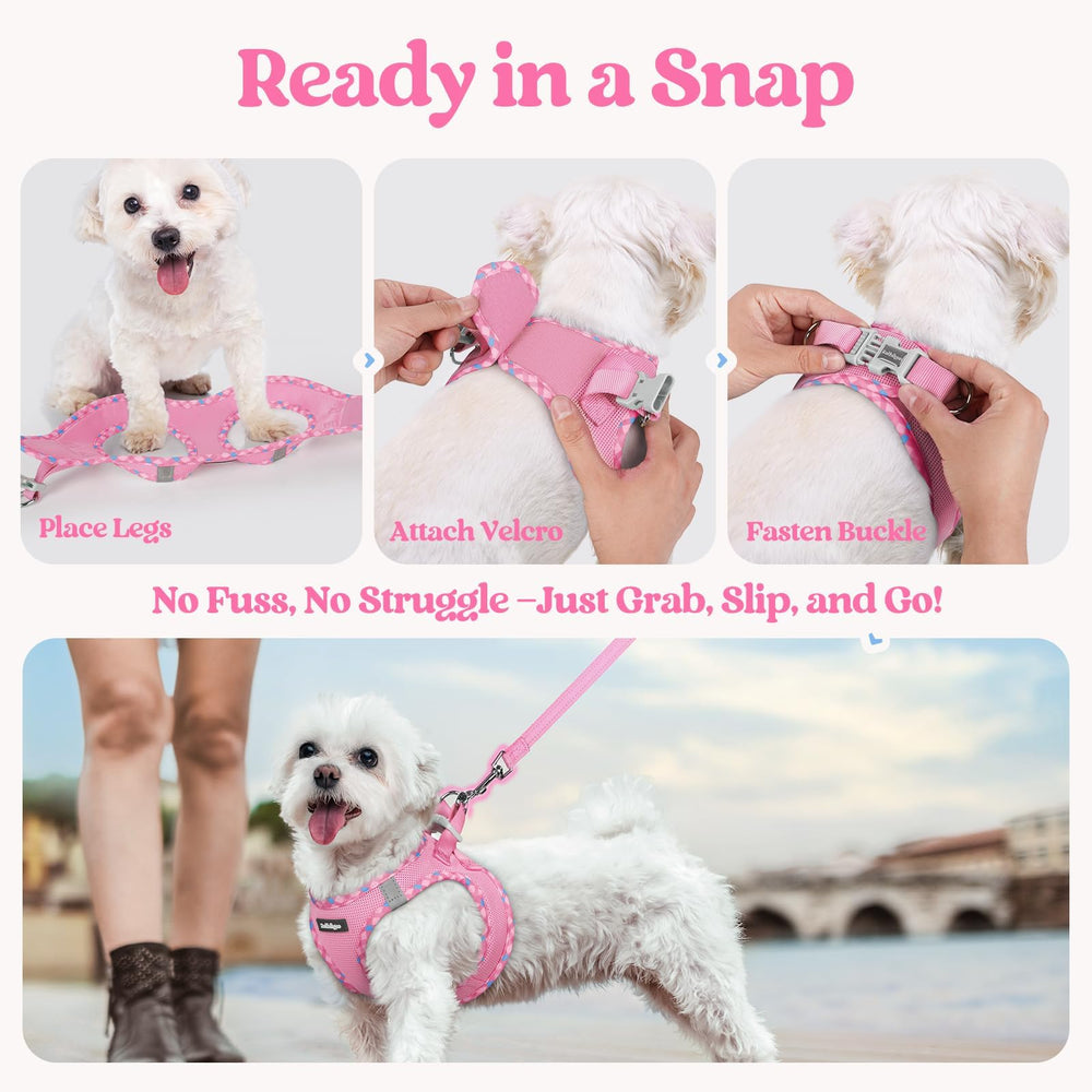 Distribución ergonómica del tirón Rabbitgoo para comodidad del perro