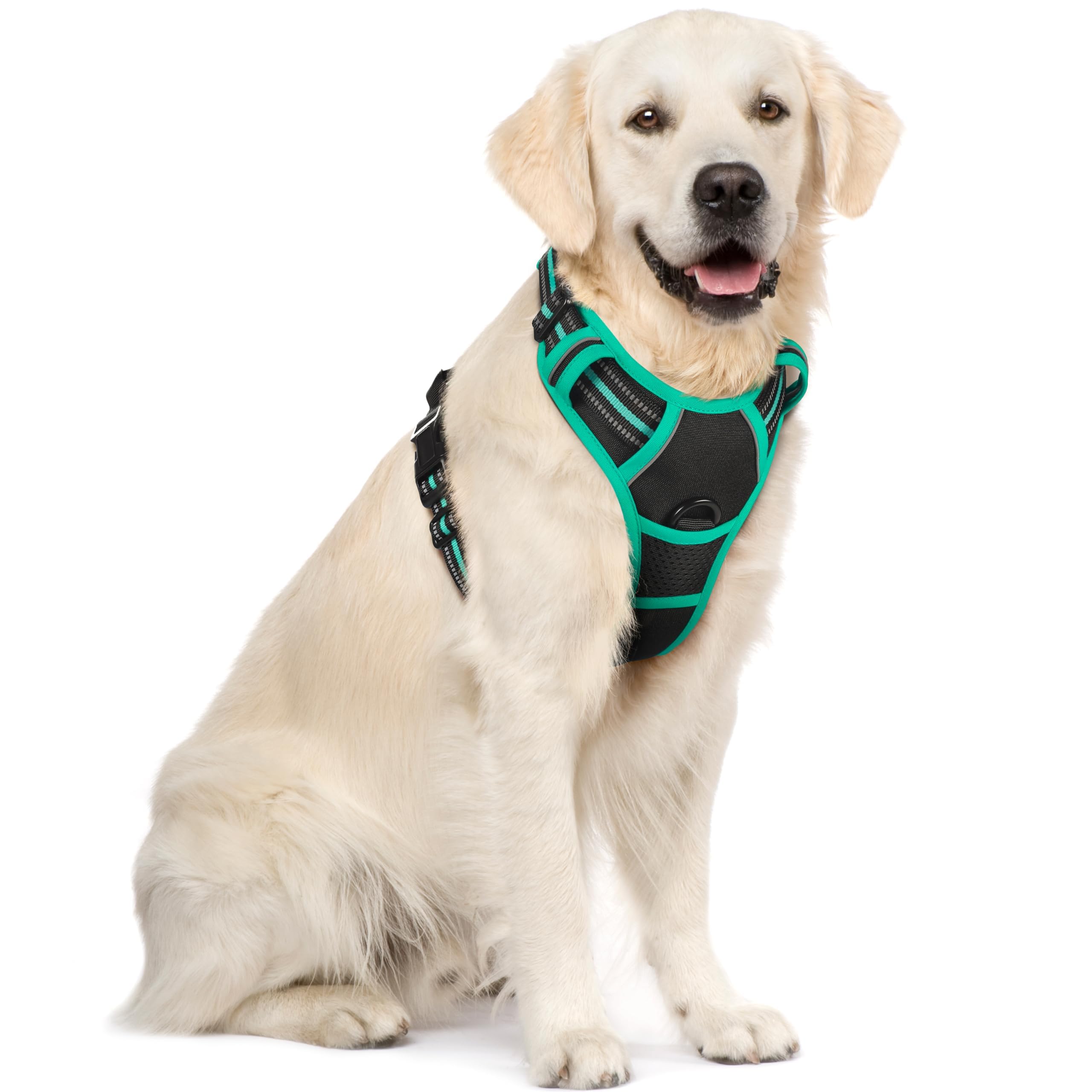 Rabbitgoo arnés para perro sin tirones visto de frente, ideal para paseos suaves.