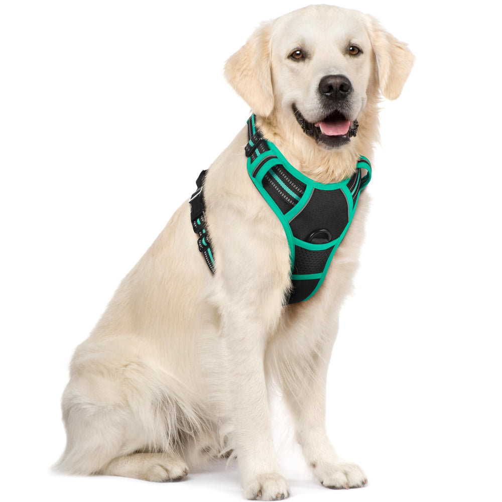 Rabbitgoo arnés para perro sin tirones visto de frente, ideal para paseos suaves.