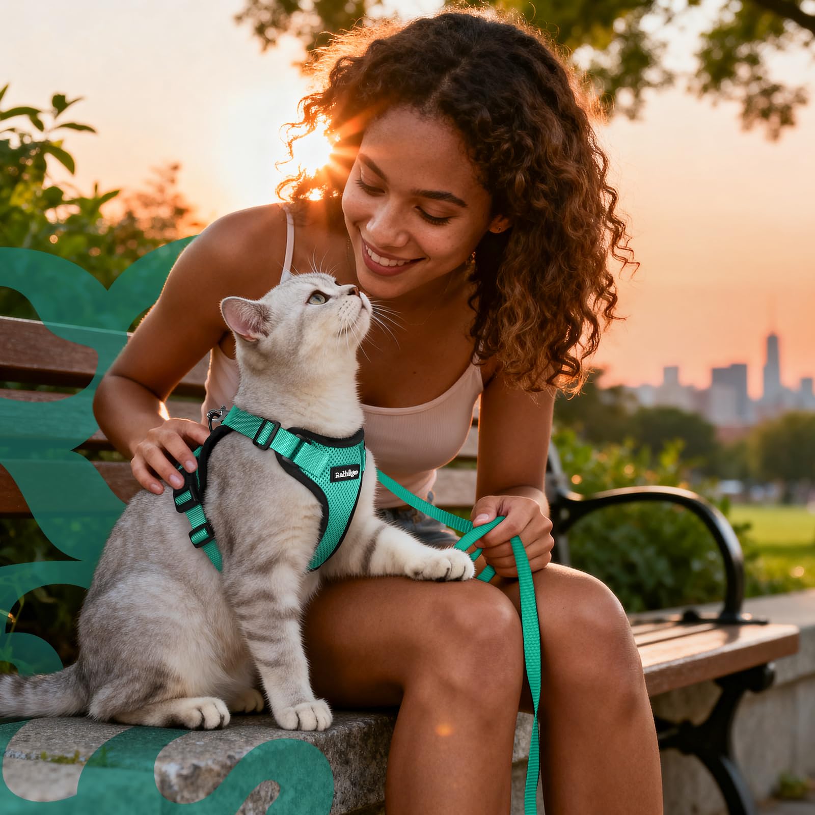 Gato en paseo con rabbitgoo, seguro y cómodo gracias al diseño adaptable.