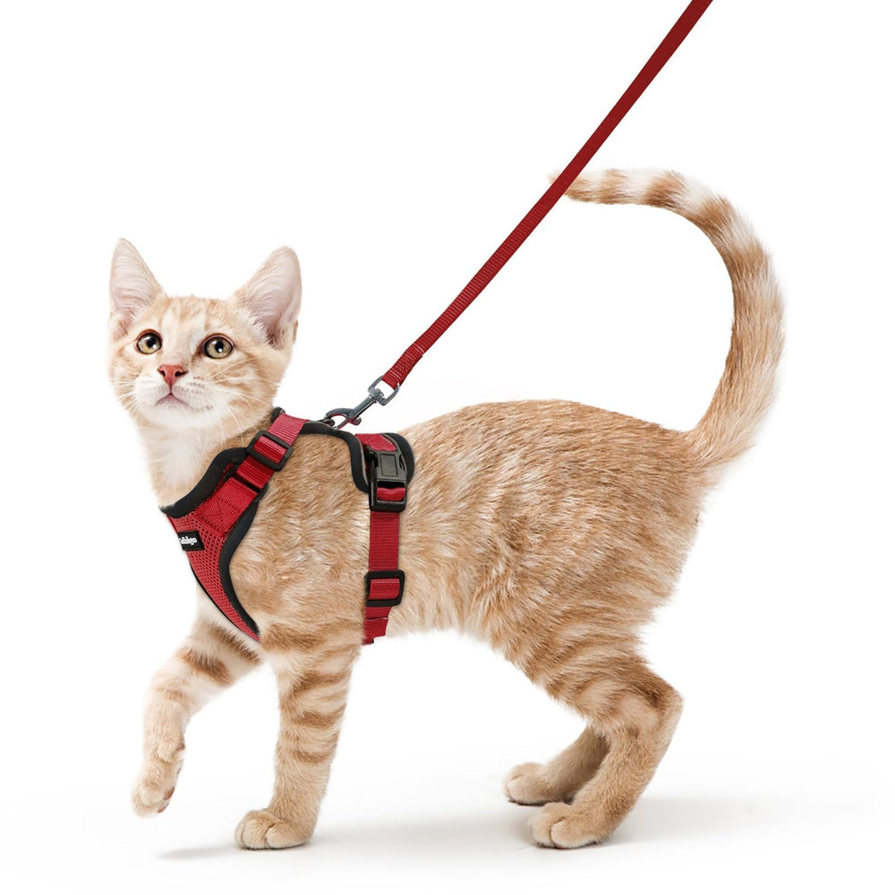 Arnés Rabbitgoo para gatos, ligero y transpirable para paseos cómodos al exterior.