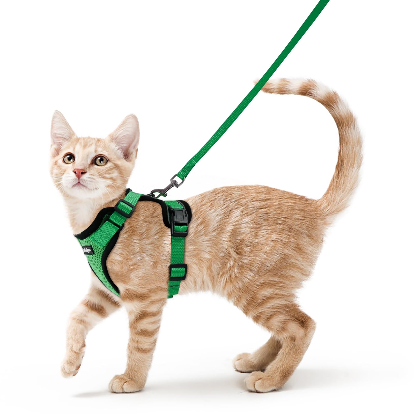 Rabbitgoo arnés para gato con ajuste ergonómico para paseos cómodos.