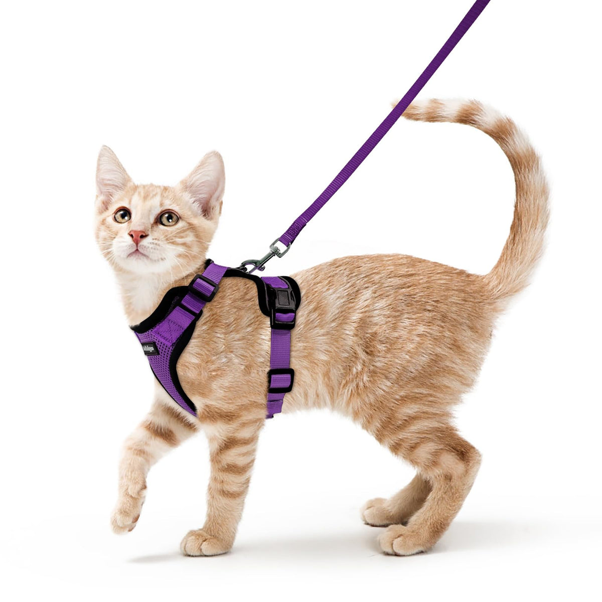 Arnés Rabbitgoo para gato con malla de aire y ajuste cómodo para paseos.