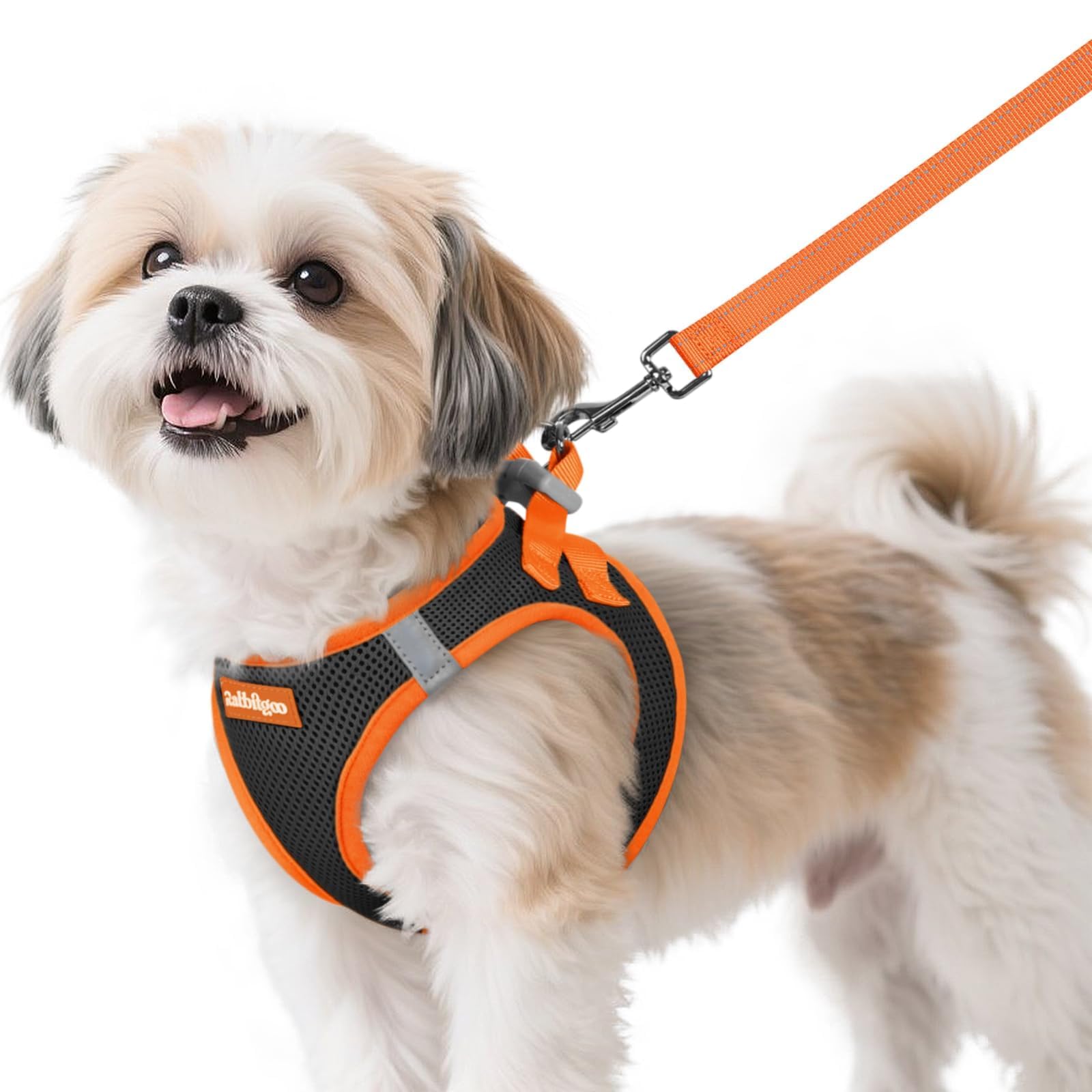 Arnés Rabbitgoo para perro S con malla aire, cómodo y transpirable para uso diario.
