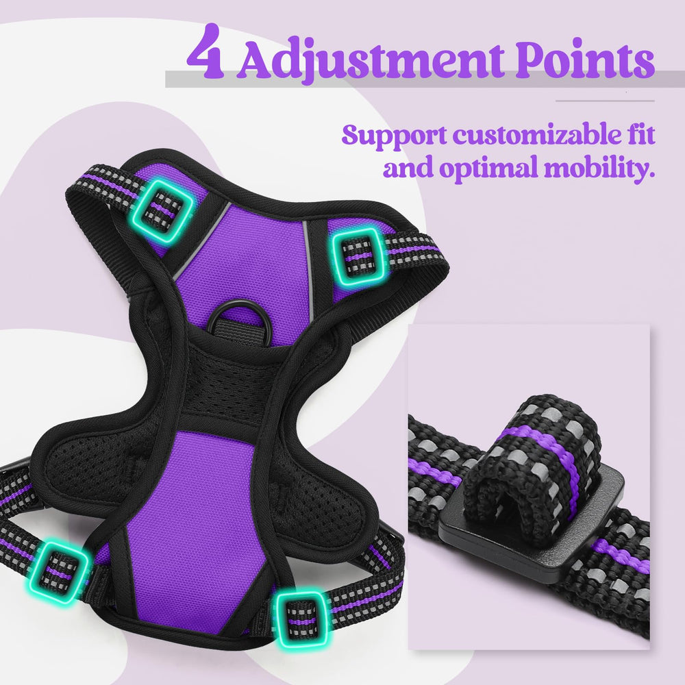 Arnés Rabbitgoo manija control superior – manejo adicional para perros difíciles.