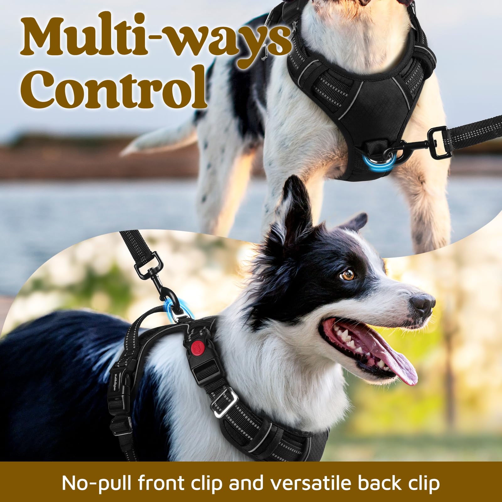 Mango de control superior para un manejo firme durante las caminatas.