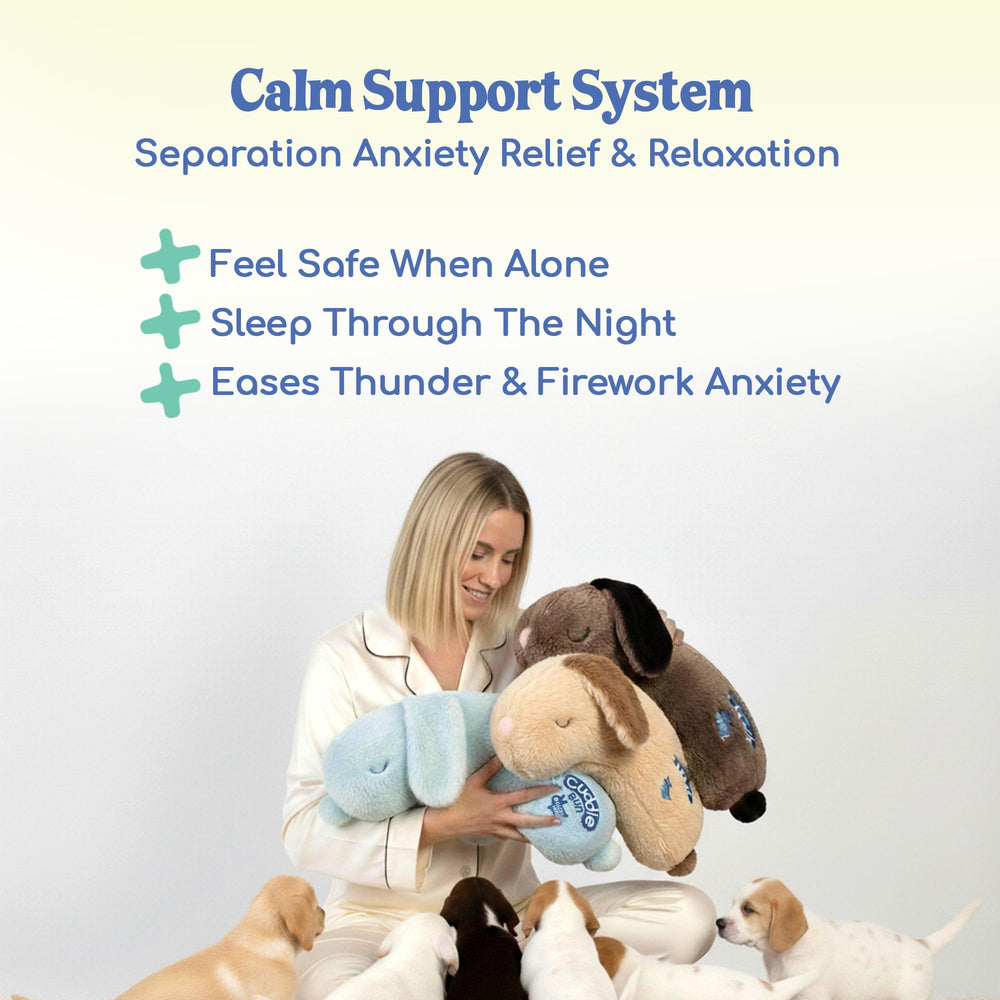 Race&Herd CuddleBun recomendado por entrenadores y dueños, apoyo conductual.
